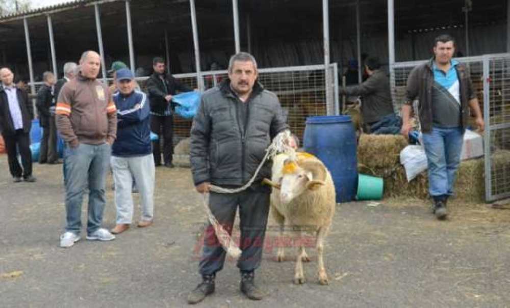 Kurban Pazarında Son Gün Bile Hareketlilik Vardı