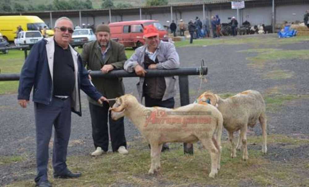Kurban Pazarında Son Gün Bile Hareketlilik Vardı