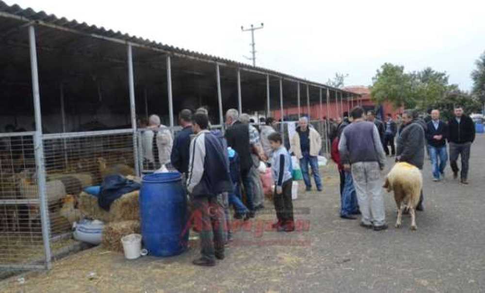 Kurban Pazarında Son Gün Bile Hareketlilik Vardı