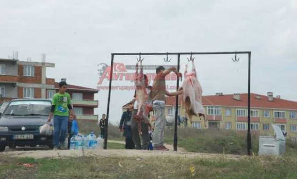 Boş Alanlar Kurban Kesim Alanı Olarak Kullanıldı