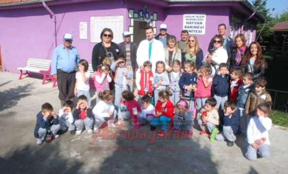 Minik Öğrencilerden Çorlu Belediyesi Hayvan Barınağı`na Ziyaret