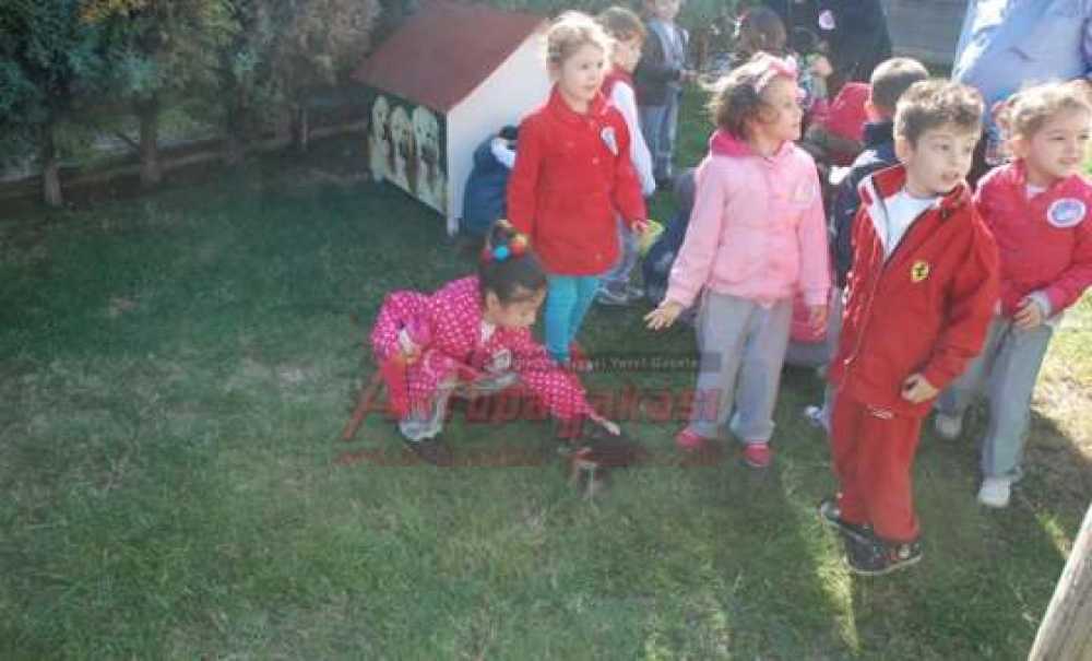 Minik Öğrencilerden Çorlu Belediyesi Hayvan Barınağı`na Ziyaret