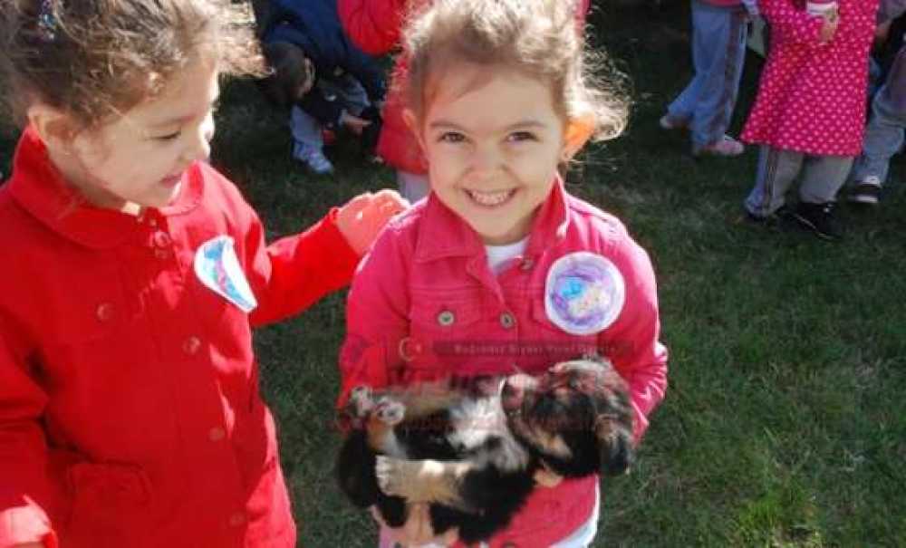 Minik Öğrencilerden Çorlu Belediyesi Hayvan Barınağı`na Ziyaret