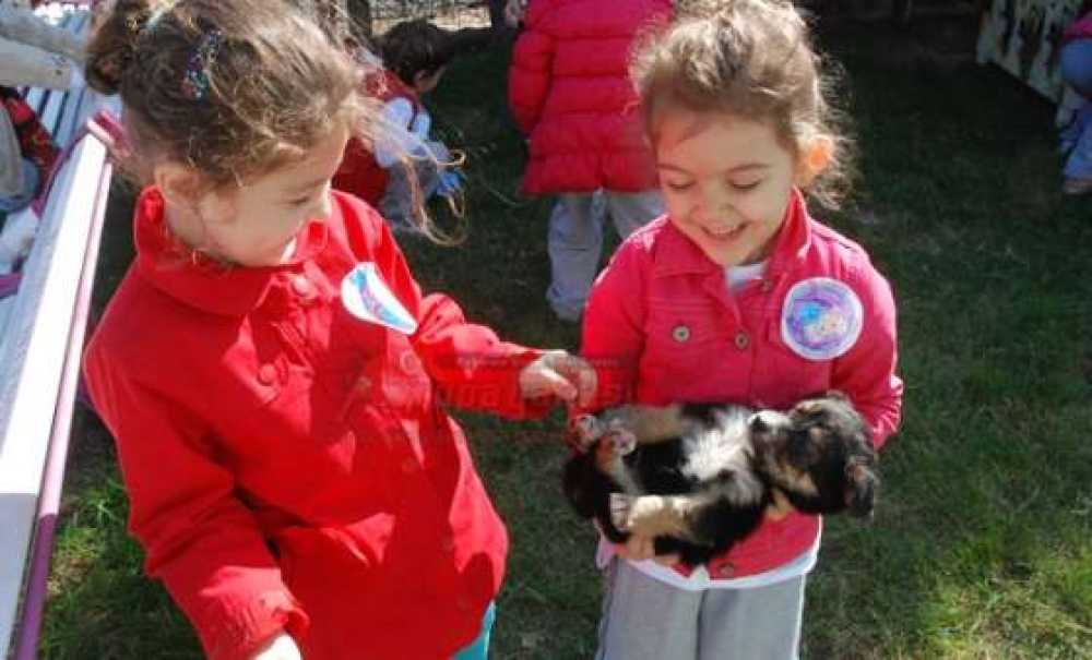 Minik Öğrencilerden Çorlu Belediyesi Hayvan Barınağı`na Ziyaret