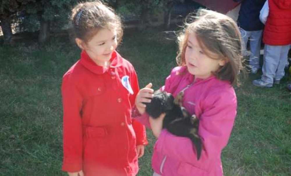 Minik Öğrencilerden Çorlu Belediyesi Hayvan Barınağı`na Ziyaret