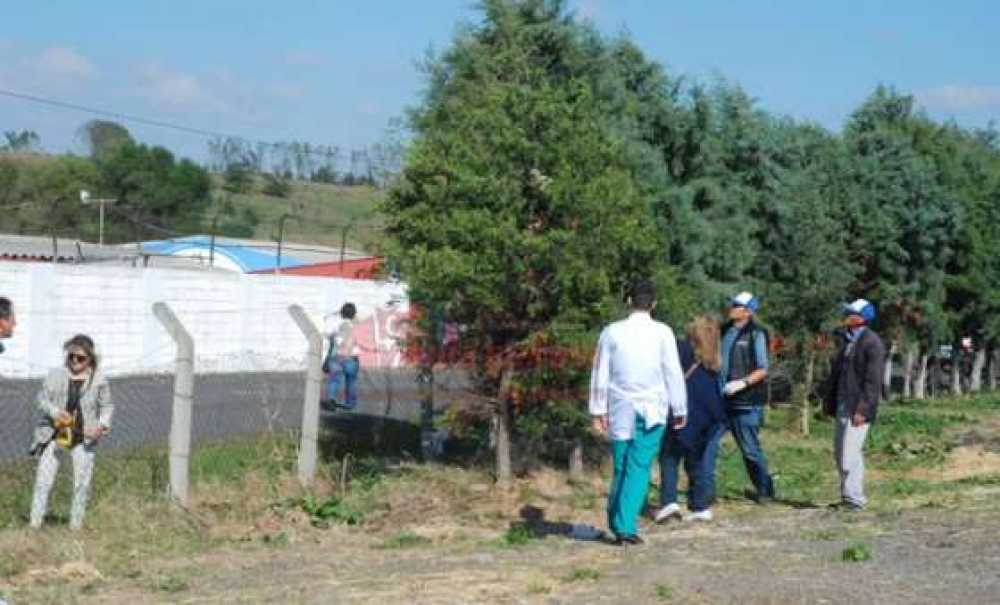 Köpekten Korkan Kedi Yavruları Çıktıkları Ağaçta Mahsur Kaldı