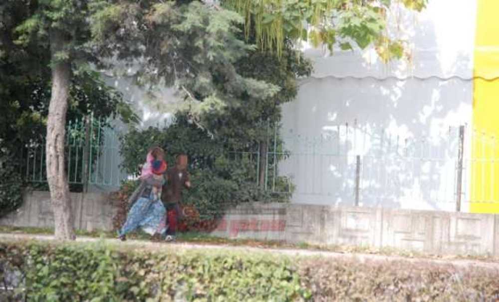 Trafik Işıklarını Mesken Tuttular