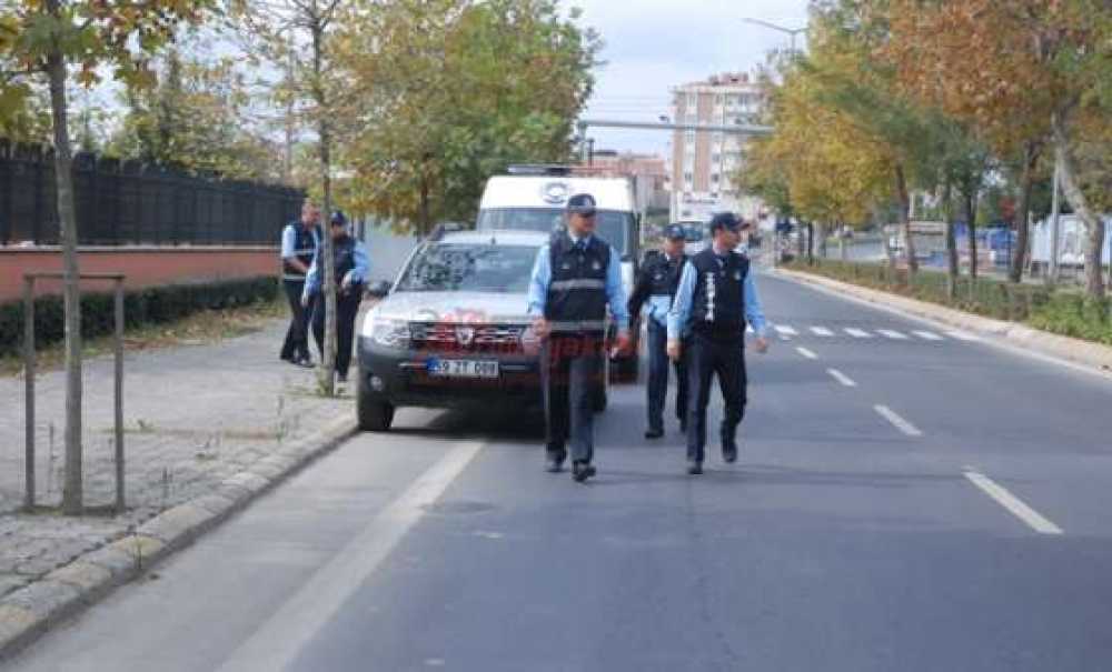 Trafik Işıklarını Mesken Tuttular