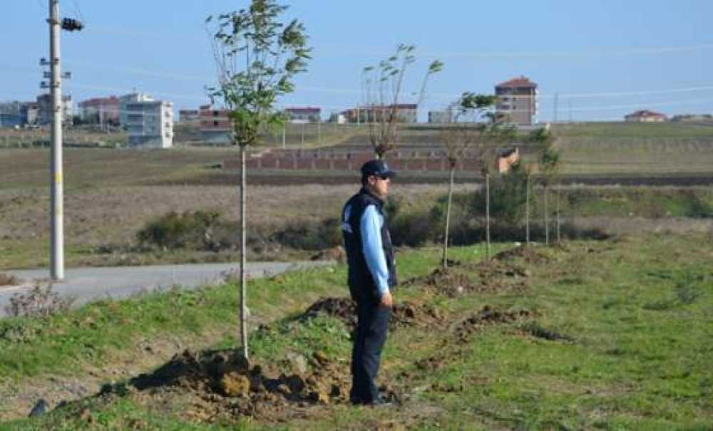 Ergene Belediye Başkanı Rasim Yüksel:“Daha Yeşil Bir Ergene Hedefliyoruz”