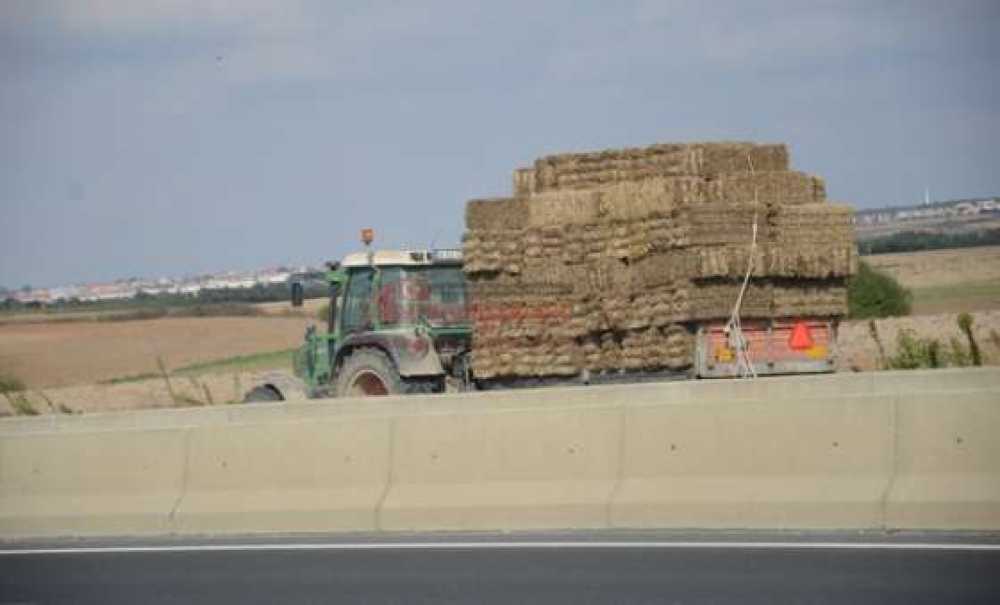 Tehlikeli Taşımacılık