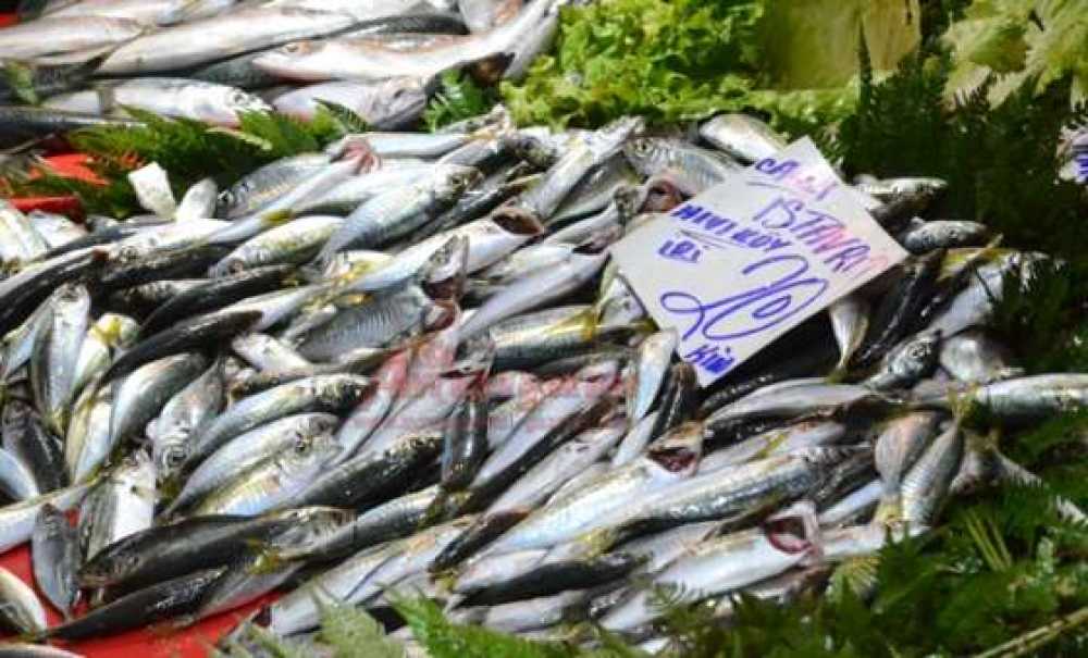 Balık Fiyatları Tavan Yaptı
