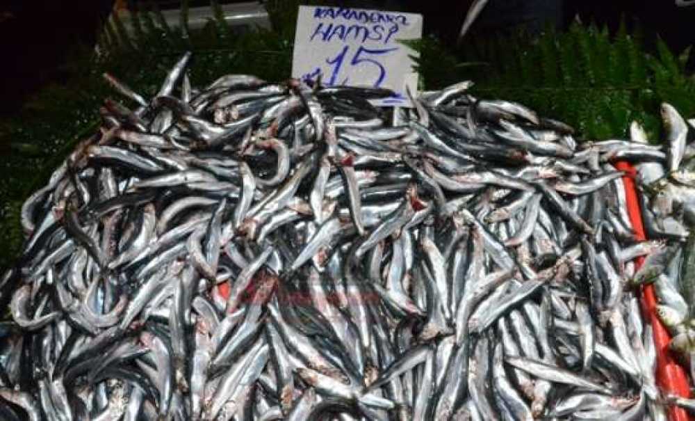 Balık Fiyatları Tavan Yaptı