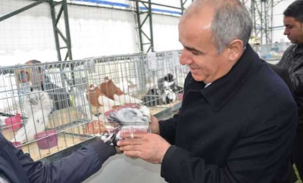 Milyonluk Güvercin Festivali