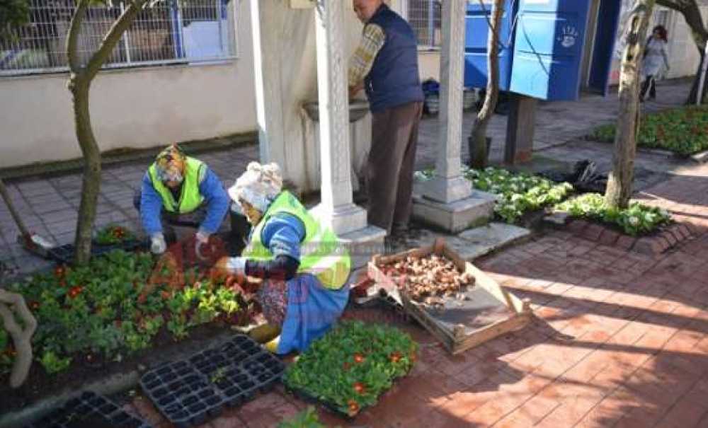 Park Ve Bahçeler Müdürlüğü Çorlu'yu Güzelleştiriyor