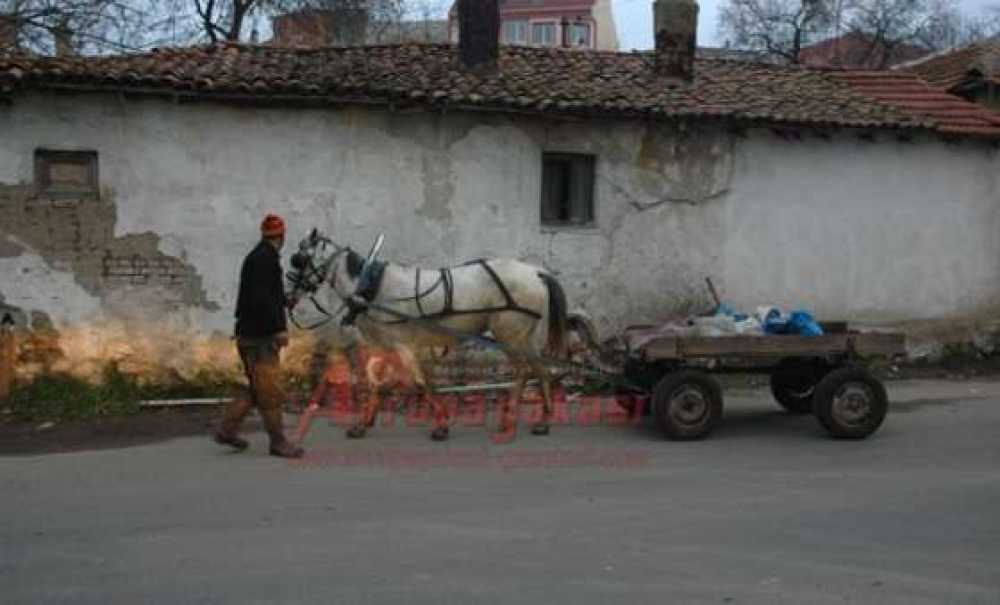 At Arabası Yaşlı Kadını Hastanelik Etti
