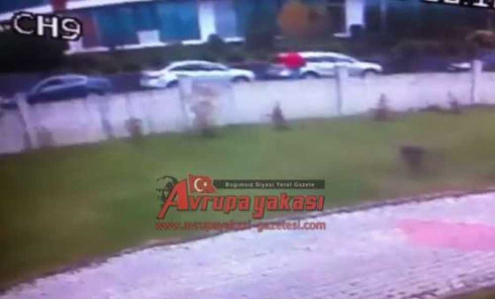 Önce Kameralara Sonra Polislere Yakalandılar