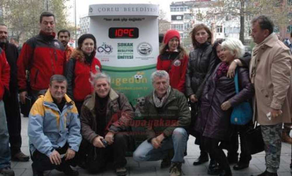 Çorlu Belediyesi'nden Sokak Hayvanlarını Besleyen Geri Dönüşüm Ünitesi