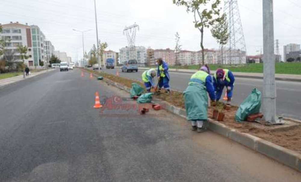 Refüjler Çiçeklendiriliyor
