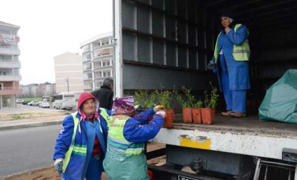 Refüjler Çiçeklendiriliyor
