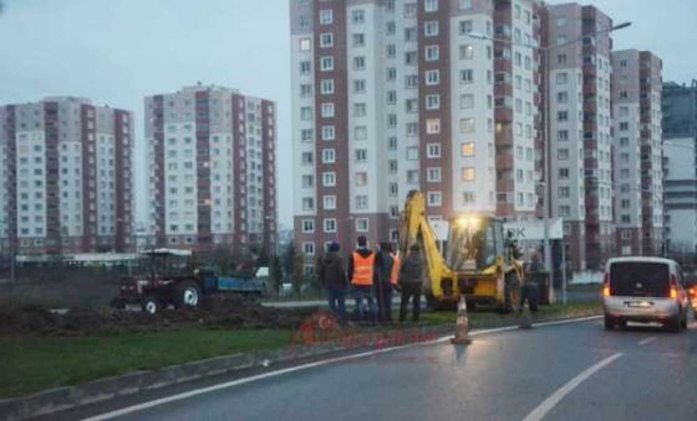 Tedes Çalışmaları Başladı