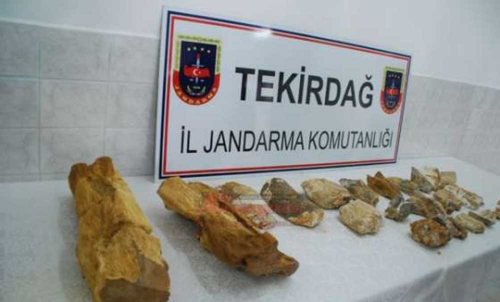 Jandarmadan Dinozor Operasyonu