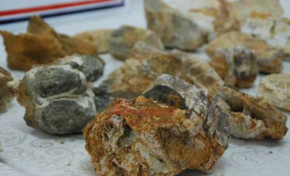 Jandarmadan Dinozor Operasyonu