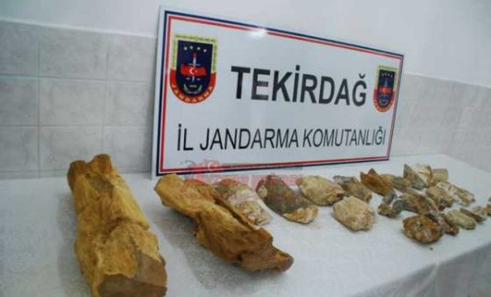 Jandarmadan Dinozor Operasyonu