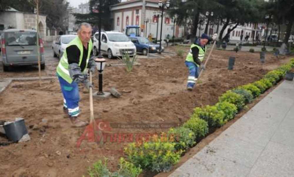 Tarihi Belediye Binasının Bahçesi Yeşillendiriliyor