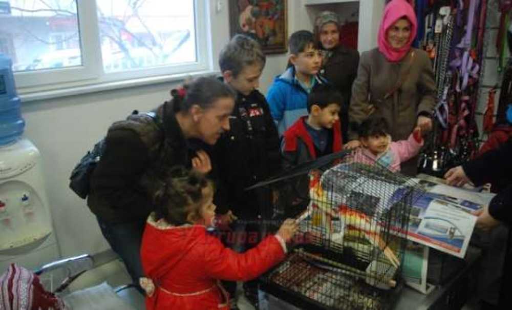 Özel Çocukları Hayvanlarla Buluşturdular