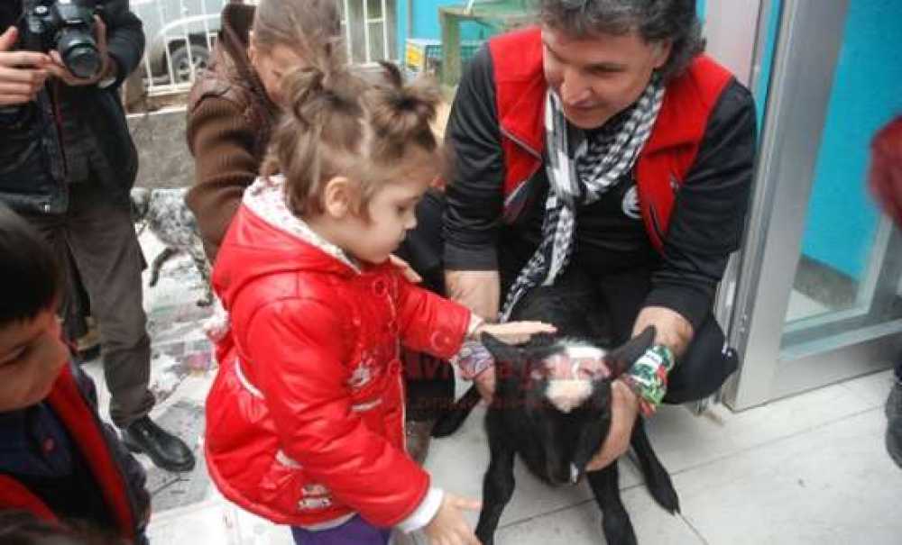 Özel Çocukları Hayvanlarla Buluşturdular