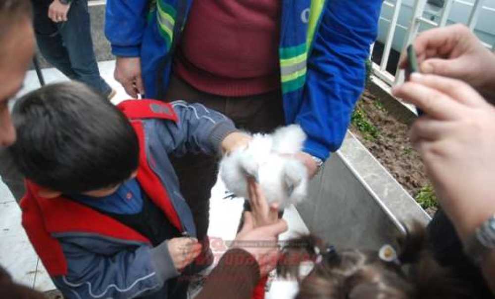 Özel Çocukları Hayvanlarla Buluşturdular