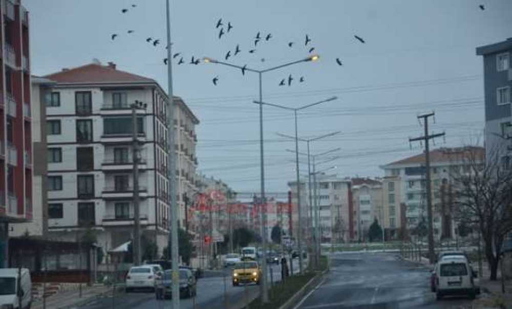 Yol Aydınlatmaları Gece – Gündüz Yanıyor