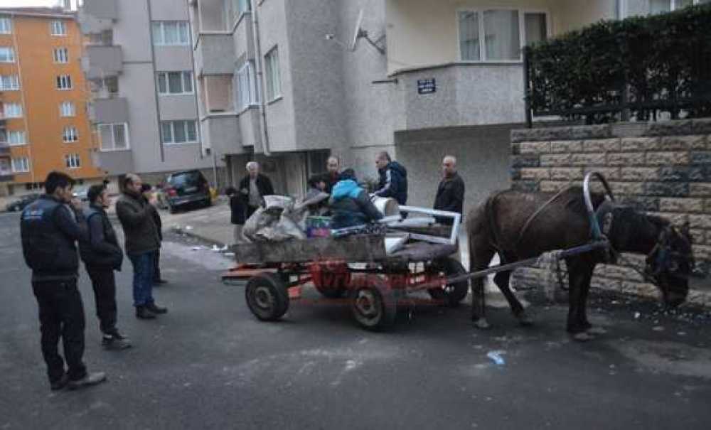 At Arabalı Hırsızlık Şüphelilerini Vatandaş Yakaladı
