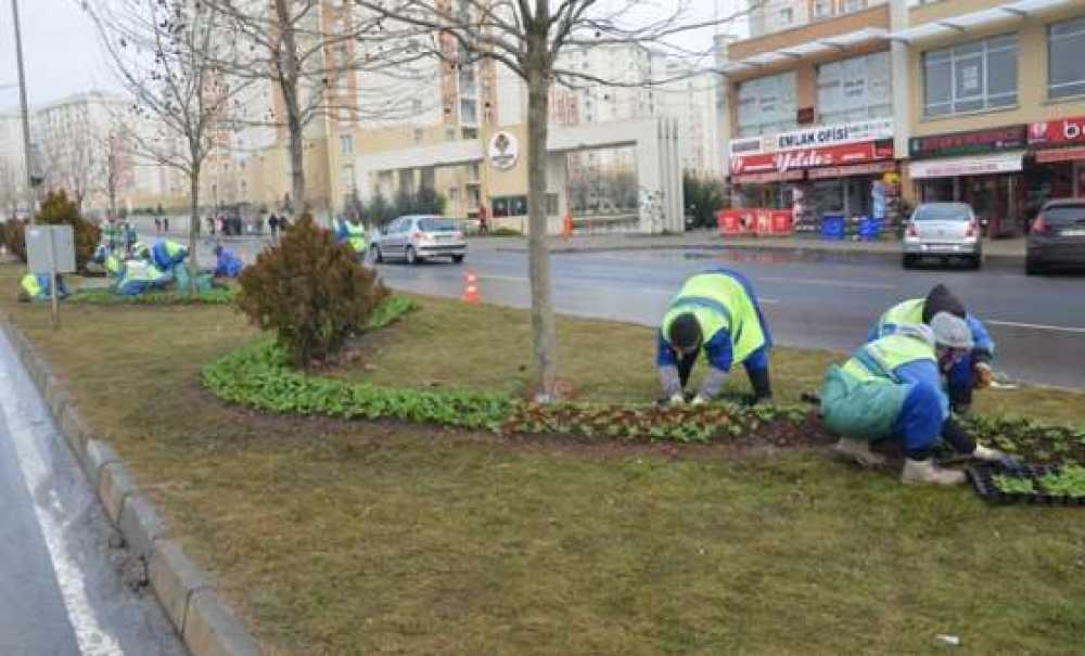 Park Ve Bahçeler Müdürlüğü Yaza Hazırlanıyor