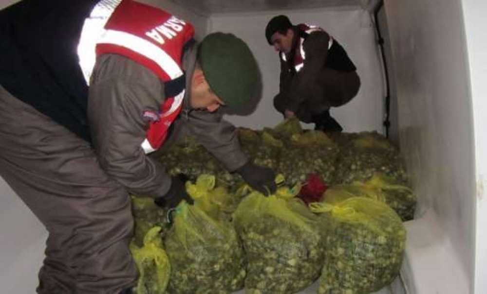 Edirne, Bin 125 Kilogram Kaçak Midye Ele Geçirildi