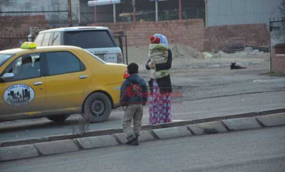 Dilencilik Şebekesi