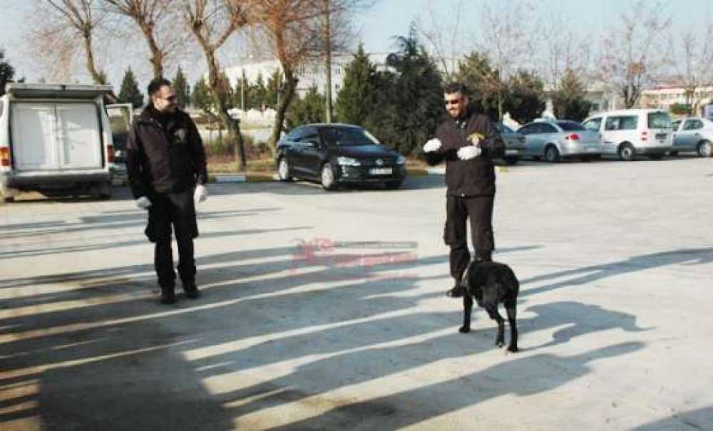 Back Ve Çapkın Gösterileri Ile İzleyenleri Büyüledi