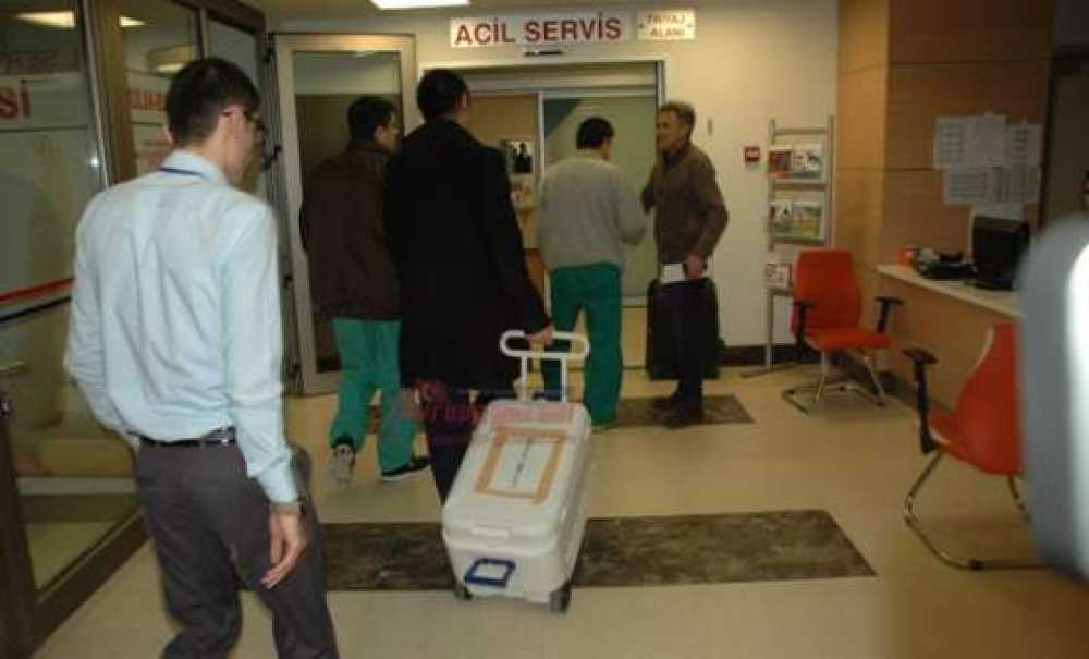 Beyin Ölümü Gerçekleşen Genç Kadın 4 Hastaya Umut Işığı Olacak