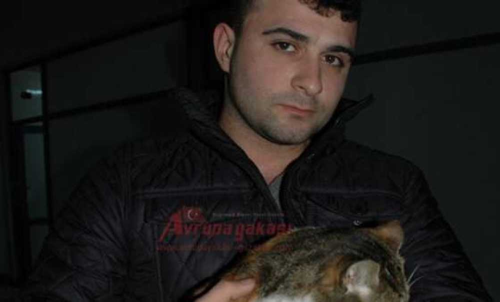 Gebe Kediye Esnaf Sahip Çıktı