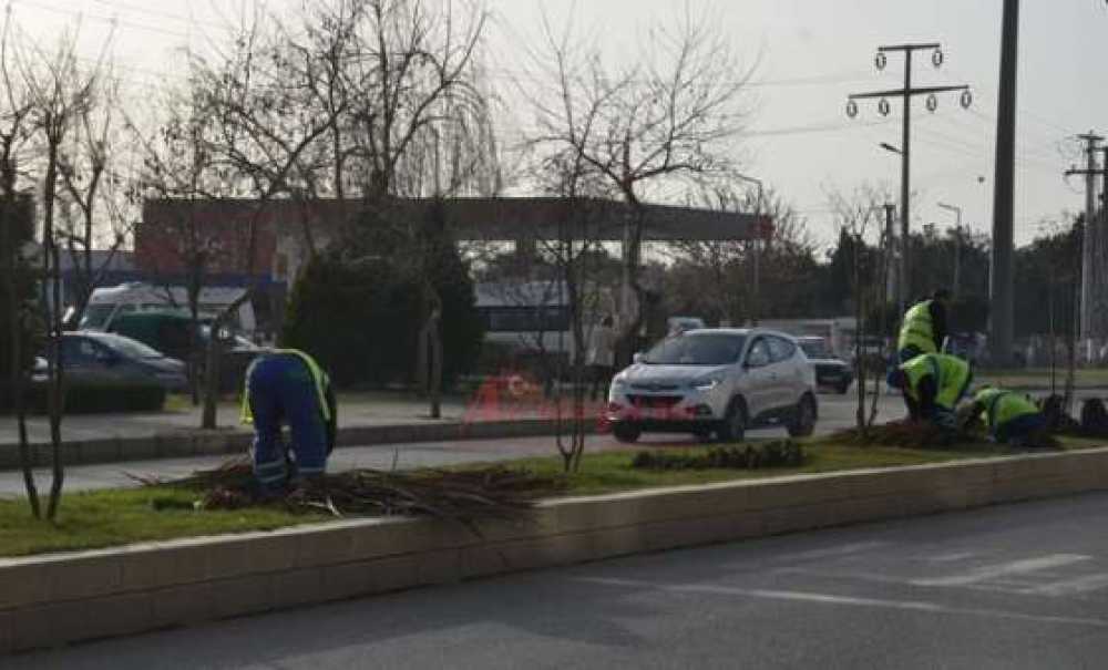 Park Bahçeler Müdürlüğünden Temizlik