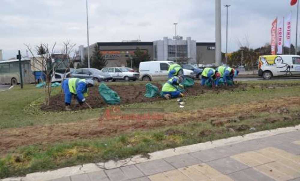 Çorlu'yu Yaza Hazırlıyorlar