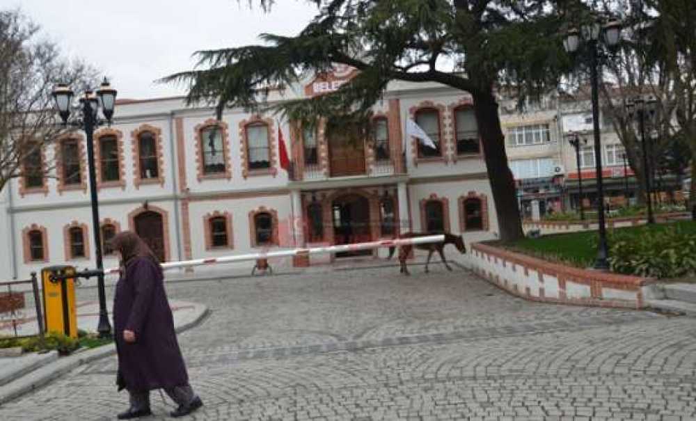 Başıboş Atlar Otlamaya Geldi