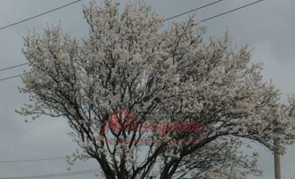 Son Cemre Bugün Düşüyor