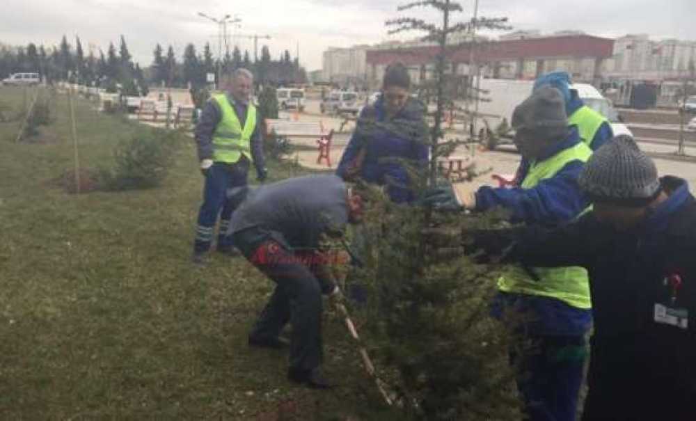 Çorlu Devlet Hastanesi'nde Ağaç Dikim Şenliği