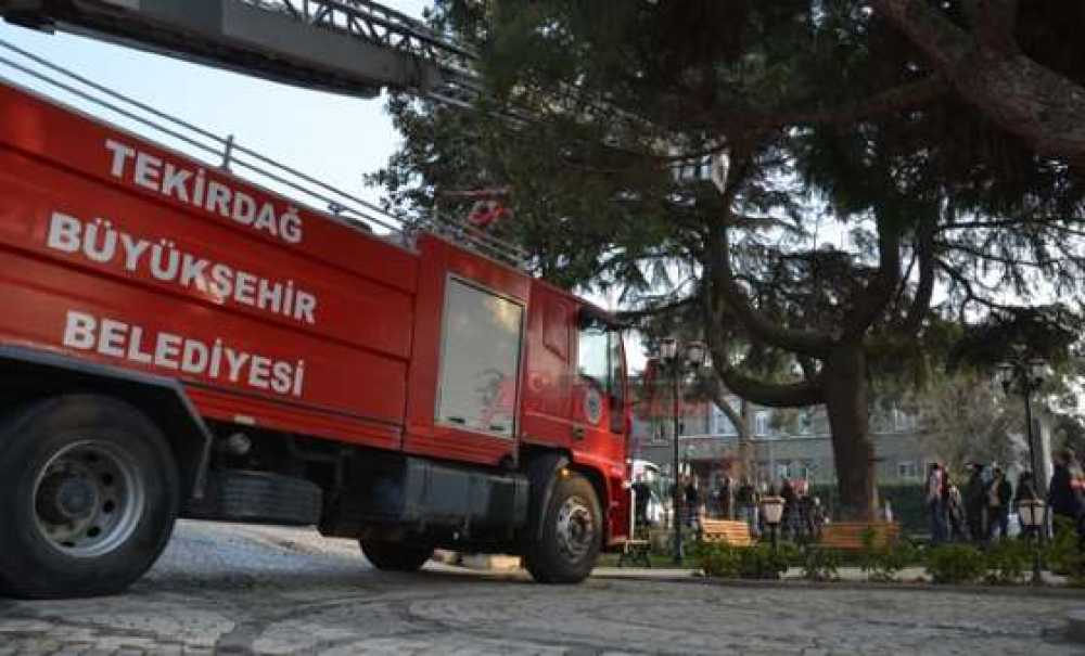 Papağan Kurtarma Operasyonu