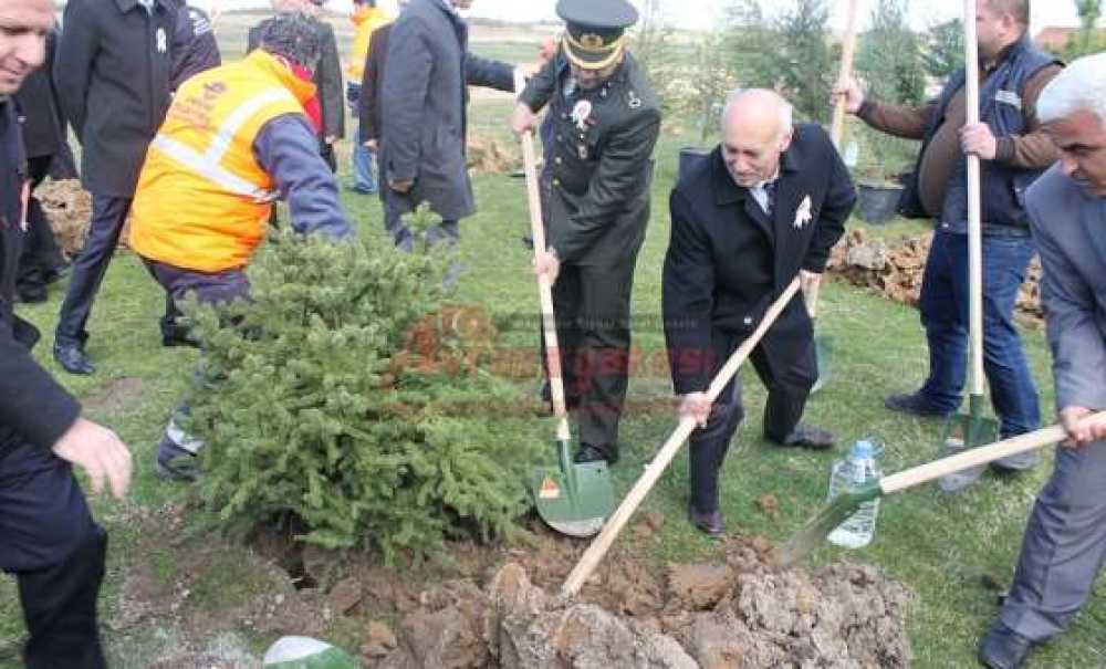 Ergene Kaymakamlığı Çanakkale Şehitleri Hatıra Ormanı Oluşturdu