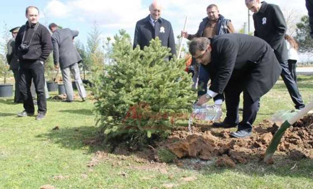 Ergene Kaymakamlığı Çanakkale Şehitleri Hatıra Ormanı Oluşturdu