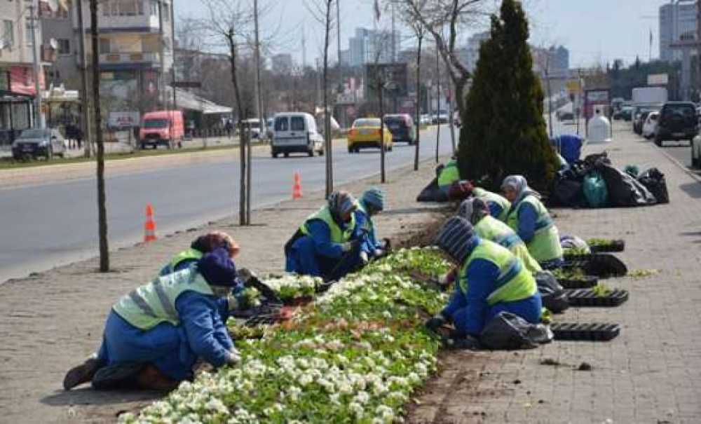 Çorlu Çiçekleniyor