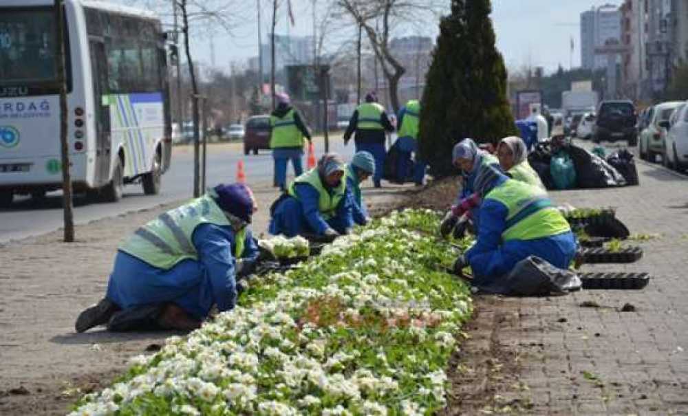 Çorlu Çiçekleniyor