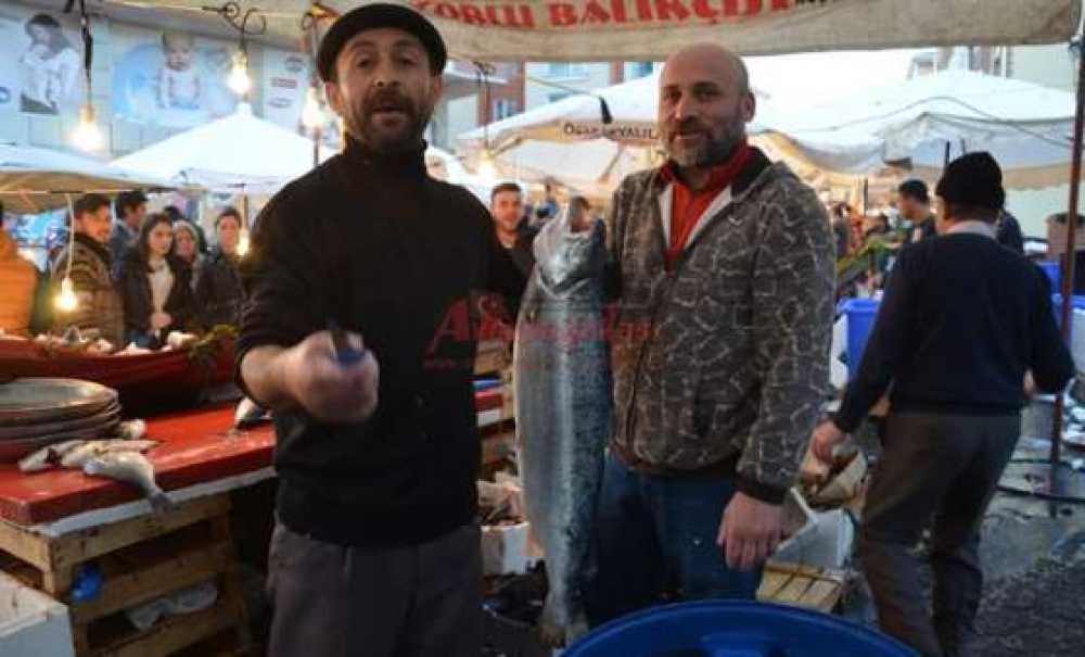 Balık Sezonu Sona Eriyor